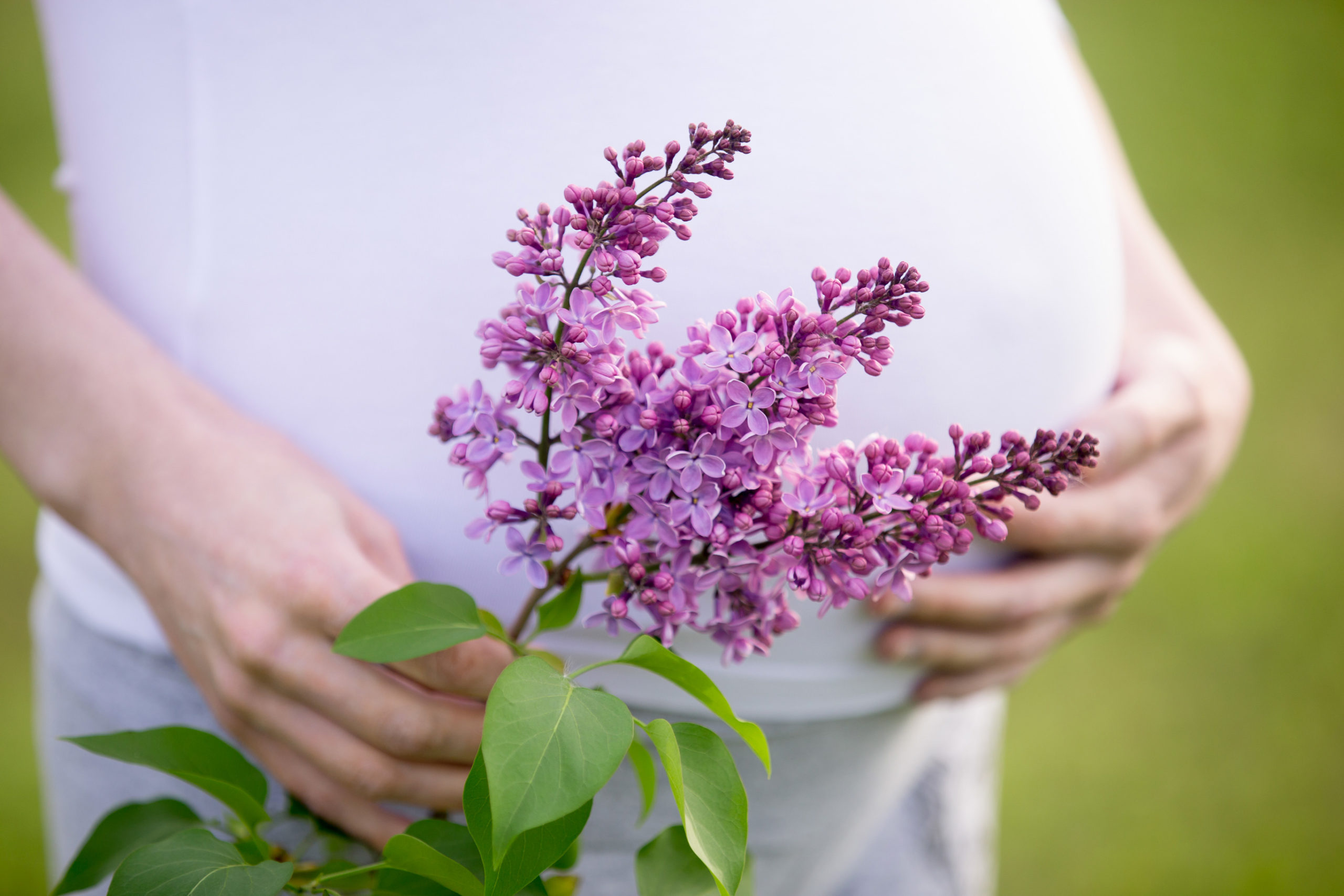 1688 freepick pregnant